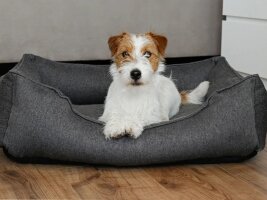 Liegeplätze & Betten