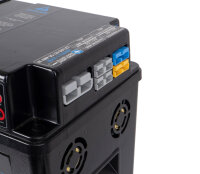 Carbest LiFePO4 Lithium LithPowerUnit 120, 120Ah