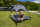 Camp4 Hundeliege mit Sonnendach 88x78x18cm