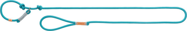 BE NORDIC Retrieverleine, petrol/hellgrau