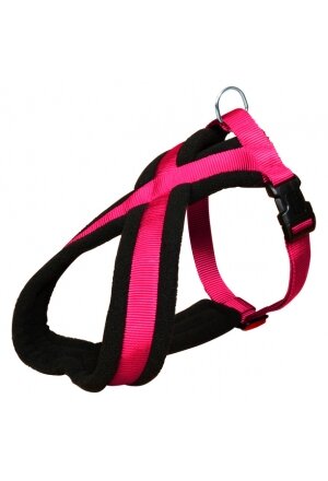 Premium Geschirr, gef. beige