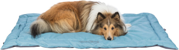 Reisedecke Samoa Classic, eisblau/grau