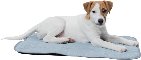 Junior Liegematte Fresh - 50×40cm, mint