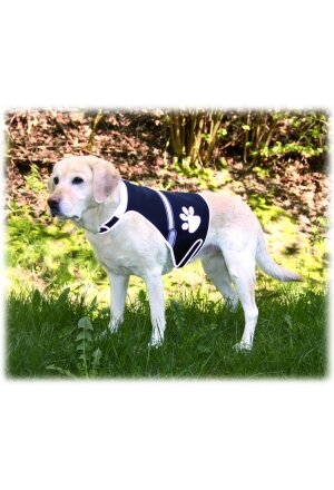 Flash Sicherheitsweste USB für Hunde, S, schwarz - 36-58cm