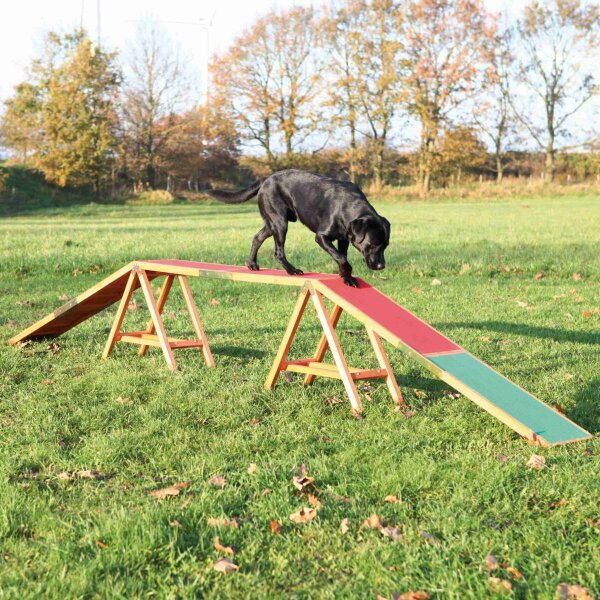Dog Activity Agility Steg - 456×64×30cm