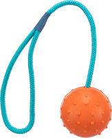 Ball am Seil, 30cm - ø6cm