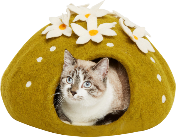 DDKC Höhle Kaktus, grün - 36x36x24cm