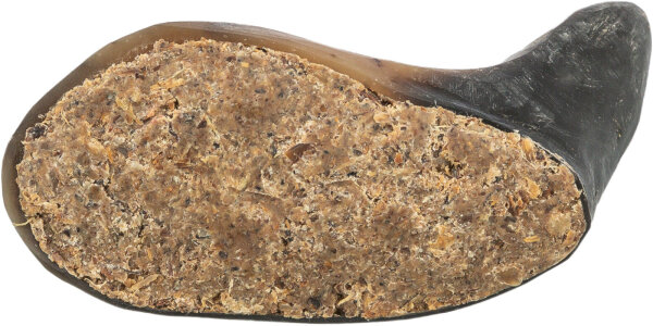 Büffelhorn gefüllt mit Büffelziemer & -sehne, 10-14cm