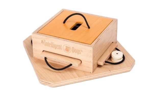 My Intelligent Dogs Strategie-Spiel Dog Trouble aus Holz