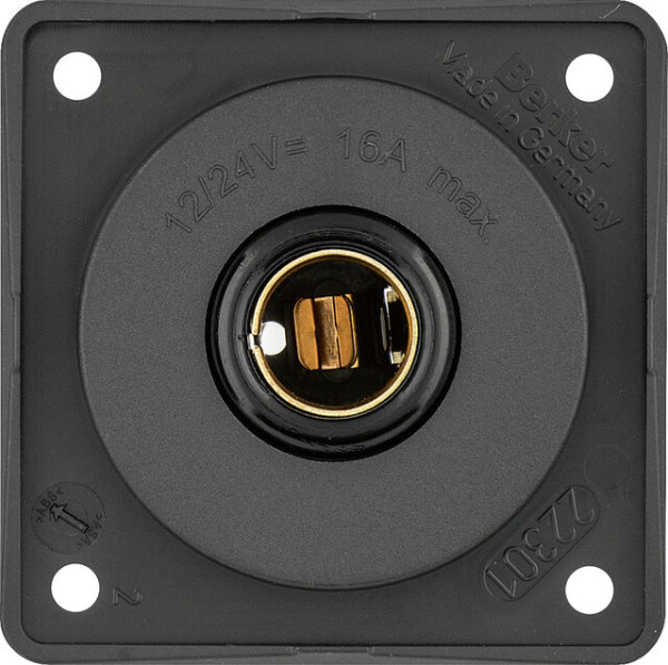 Socket outlet small Berker Colour anthracite 12 V DIN