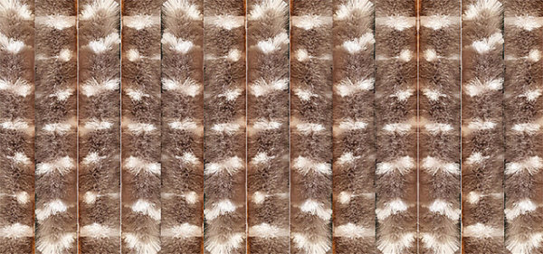 Door curtain ARISOL 56 x 185 cm Colour brown / white