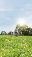 Truma Gas-Füllstandsmessgerät LevelControl für App oder iNet X System