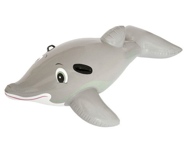 Dolphin water toy