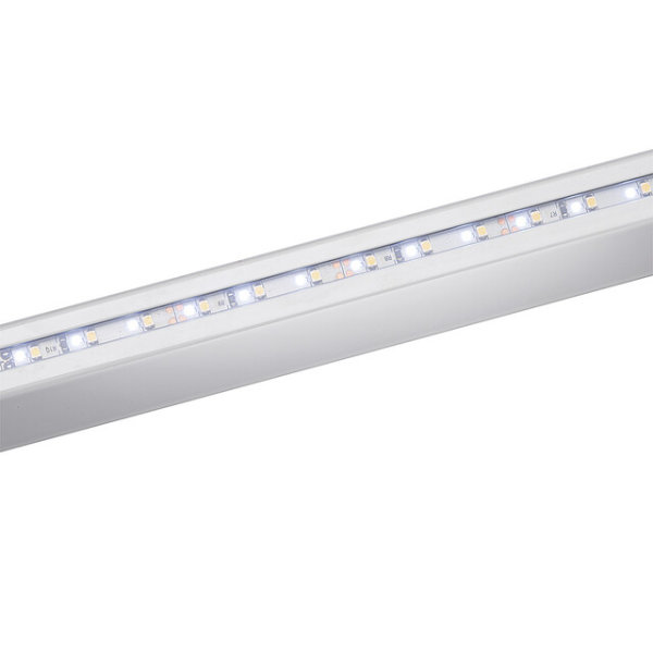 LED RainTec RT100