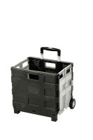 Faltbox Trolley gris/noir 40 x 41 x 7 cm