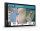 Navigation GARMIN Camper 795 MT-D