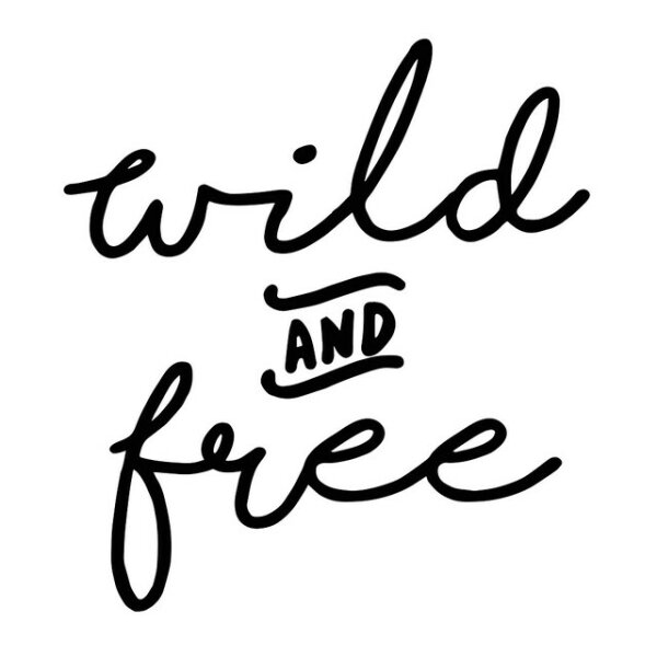 Car sticker Adventure Shop Wild & Free black