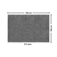 Fußmatte LAKO Aquastop 100 x 150 cm Farbe grau