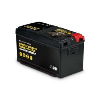 TLB 150 F Büttner Dometic Tempra Lithium Batterie...