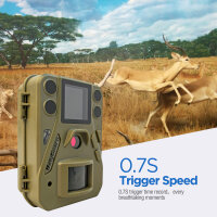 Boly Cam 37MP/4K Video, 940nm (No Glow), compact