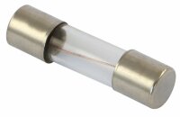 Glassicherung 10 A