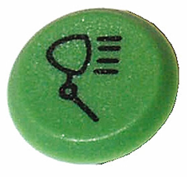 Pneutron embl."phâre de travail vert"