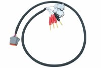 Kabelset Programmierung TConn Display 4.3“