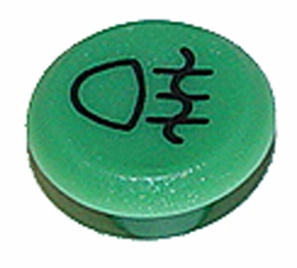 Pneutron Emblème "feu antibrouill. vert"