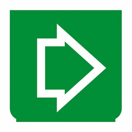 Emblem - Blinker rechts grün