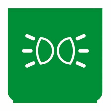 Emblem - Standlicht grün