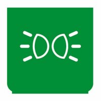 Emblem - Standlicht grün