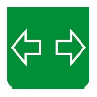 Emblem - Blinker grün