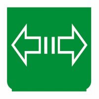 Emblem - Blinker Anhänger 2 grün