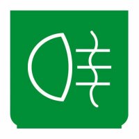 Emblem - Nebelschlussleuchte grün