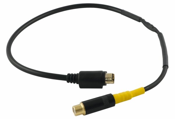 MINIDIN (M) -> CHINCH (F)