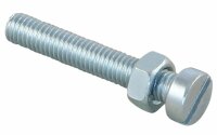 Zylinderschr. DIN 84/Mu 5 x 30 inkl. Mutter