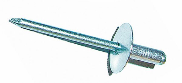 Blindnieten 4.8 x 12 - Grosskopf