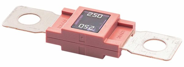 MEGA Sicherung 250 A (M8)