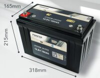 Forster LiFePO4 Lithium-Batterie 12 V 100 Ah