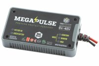 Megapulse Batteriepflege 6-48V