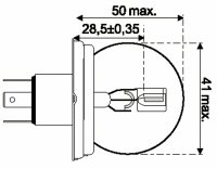 1 Jahn Glühlampe P45t 12V45/40W 1005