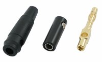 Bananenstecker 2 Paar schwarz ø 4mm