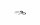 Maxview Roam mobile 4G / WiFi-Antenne inkl. Router