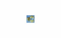 Berger Rohrschelle gold 5er Pack