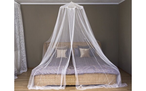 Moskitonetz Tarantula