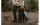 Ruffwear Dirtbag Hundehandtuch Aurora Teal