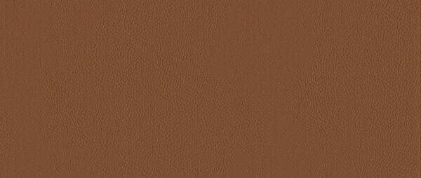 Kunstleder Santiago co10m