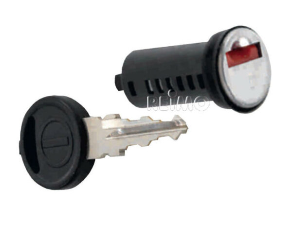 4 cylinder and 2 keys